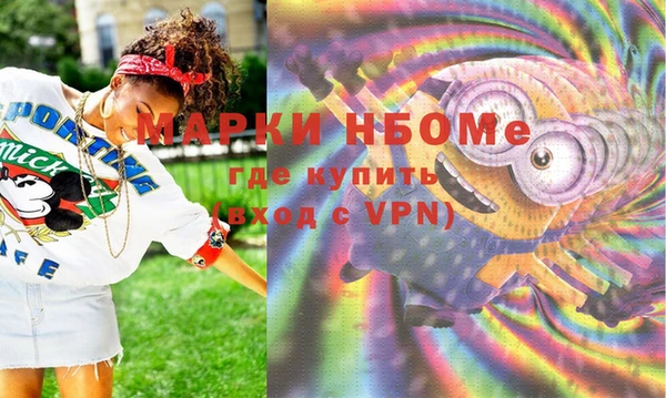 стаф Алзамай