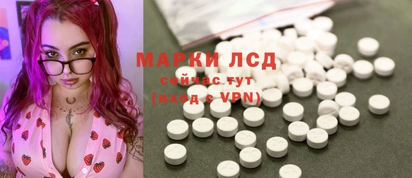 стаф Алзамай