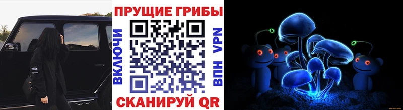 Галлюциногенные грибы мицелий  цены наркотик  Исилькуль 